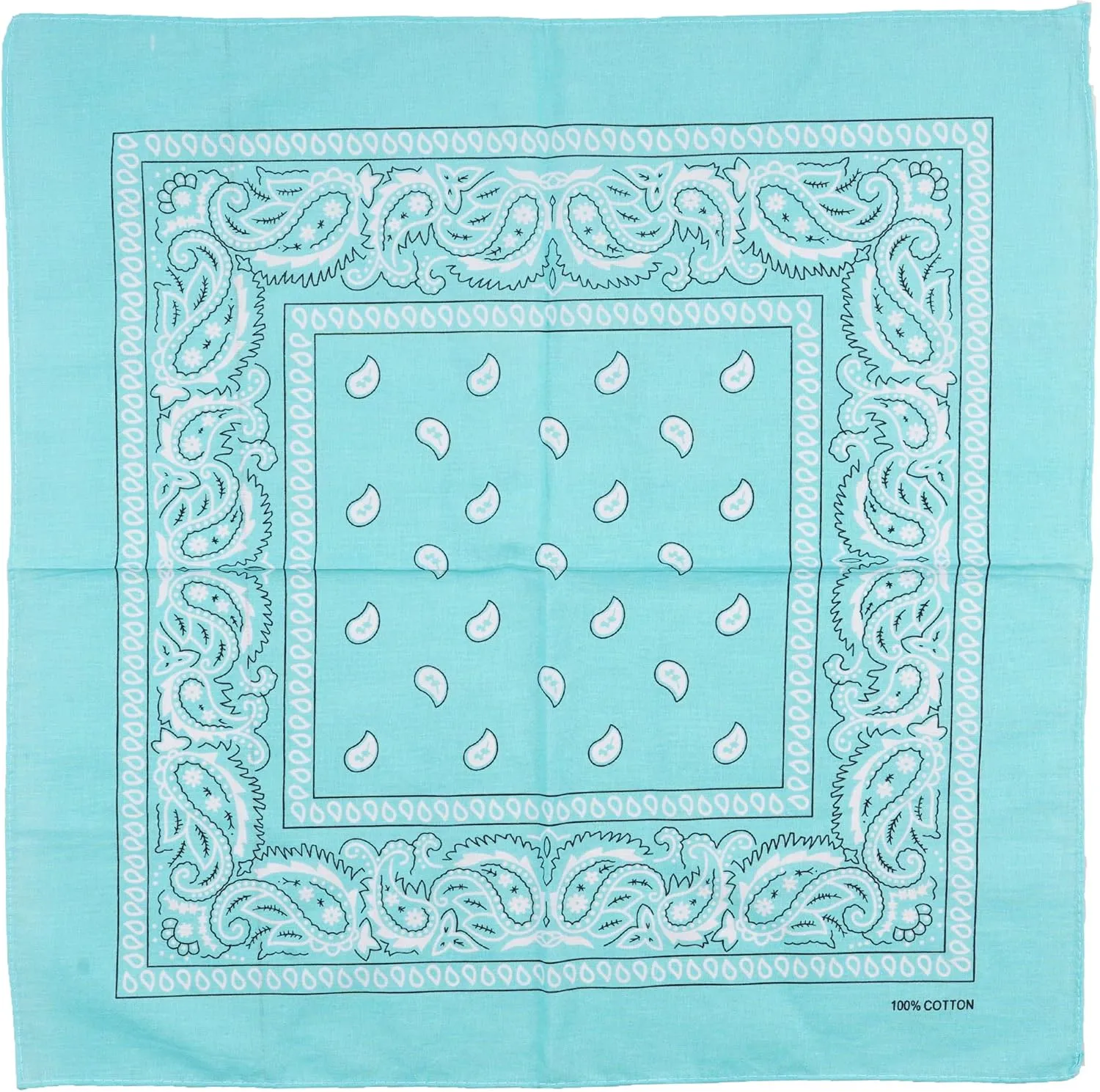 Raylarnia 100% Cotton Large Bandanas for Men and Women, 22 Inch Paisley Bandana with Multiple Colors