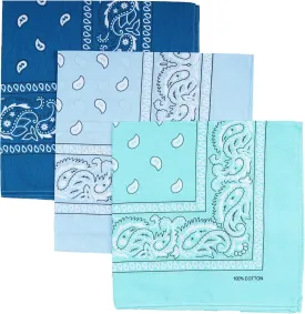 Raylarnia 100% Cotton Large Bandanas for Men and Women, 22 Inch Paisley Bandana with Multiple Colors
