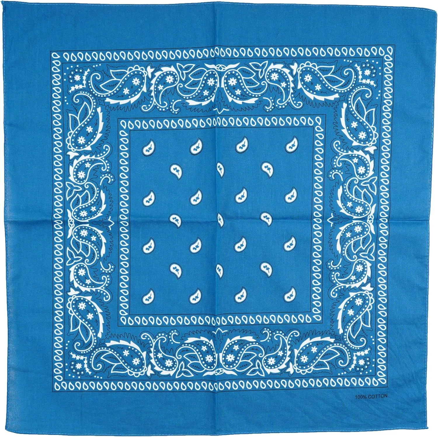 Raylarnia 100% Cotton Large Bandanas for Men and Women, 22 Inch Paisley Bandana with Multiple Colors